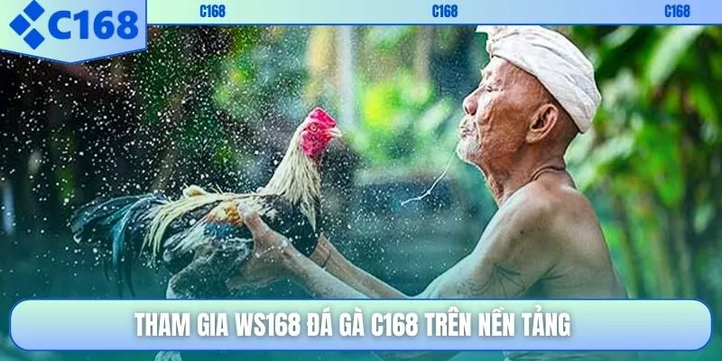 Tham gia Ws168 đá gà C168 trên nền tảng